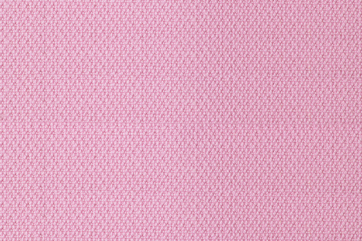 Prunus