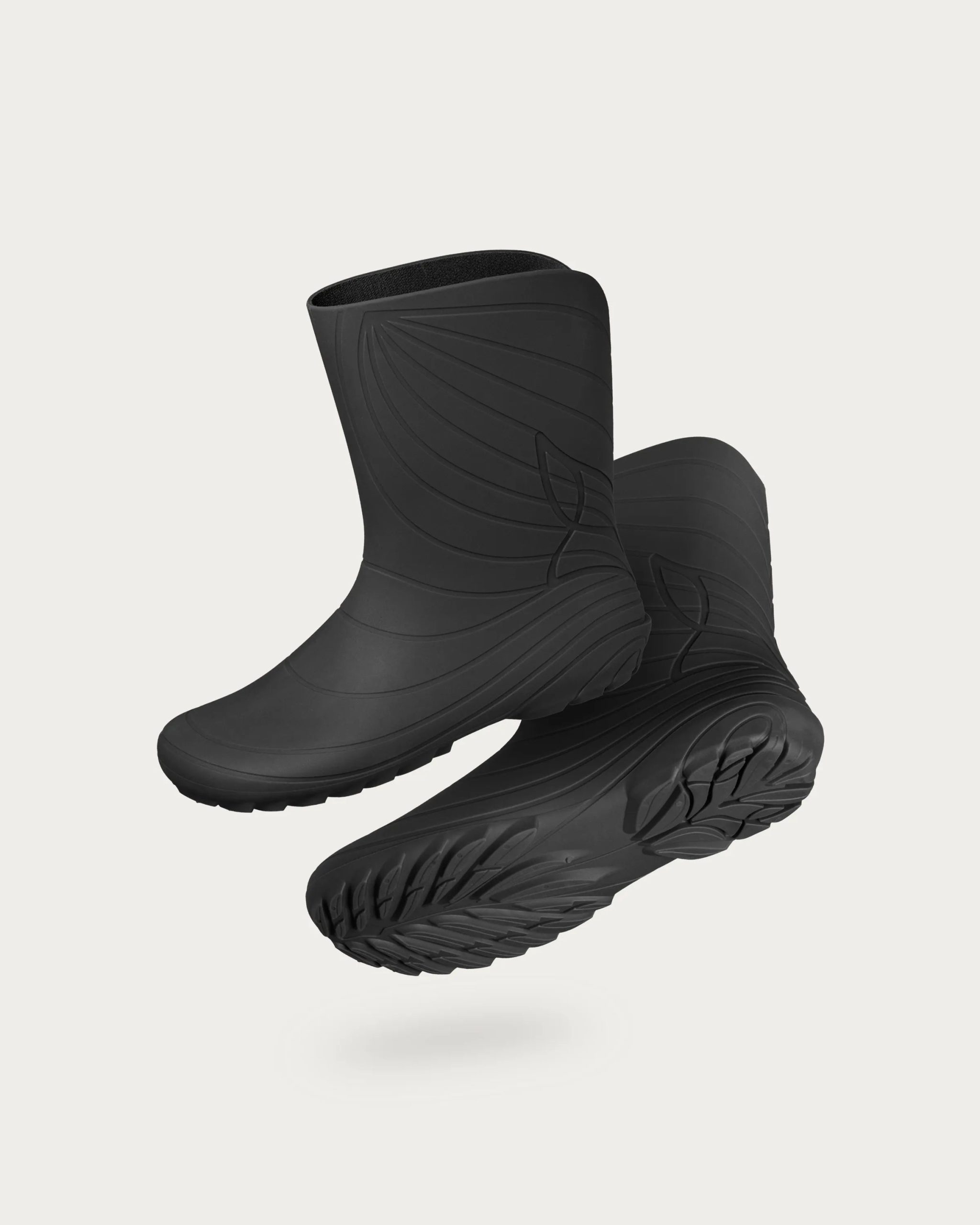 Ranidae – Black