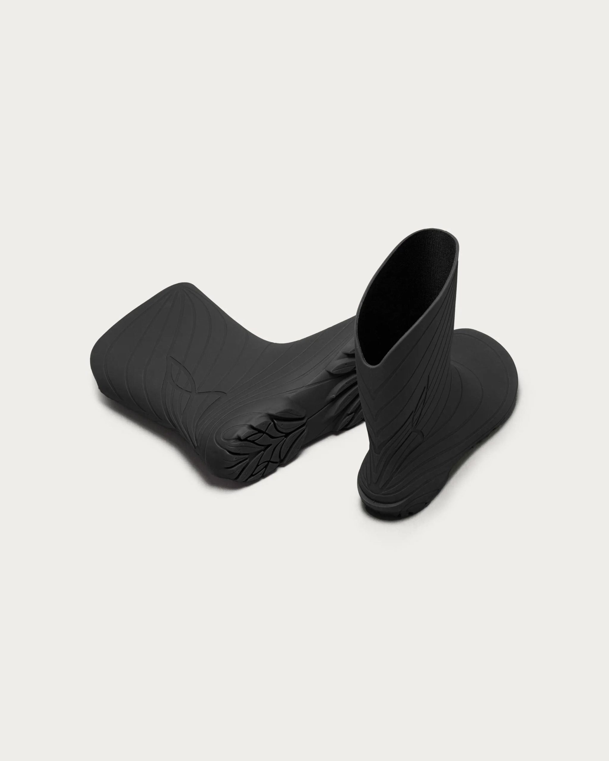Ranidae – Black