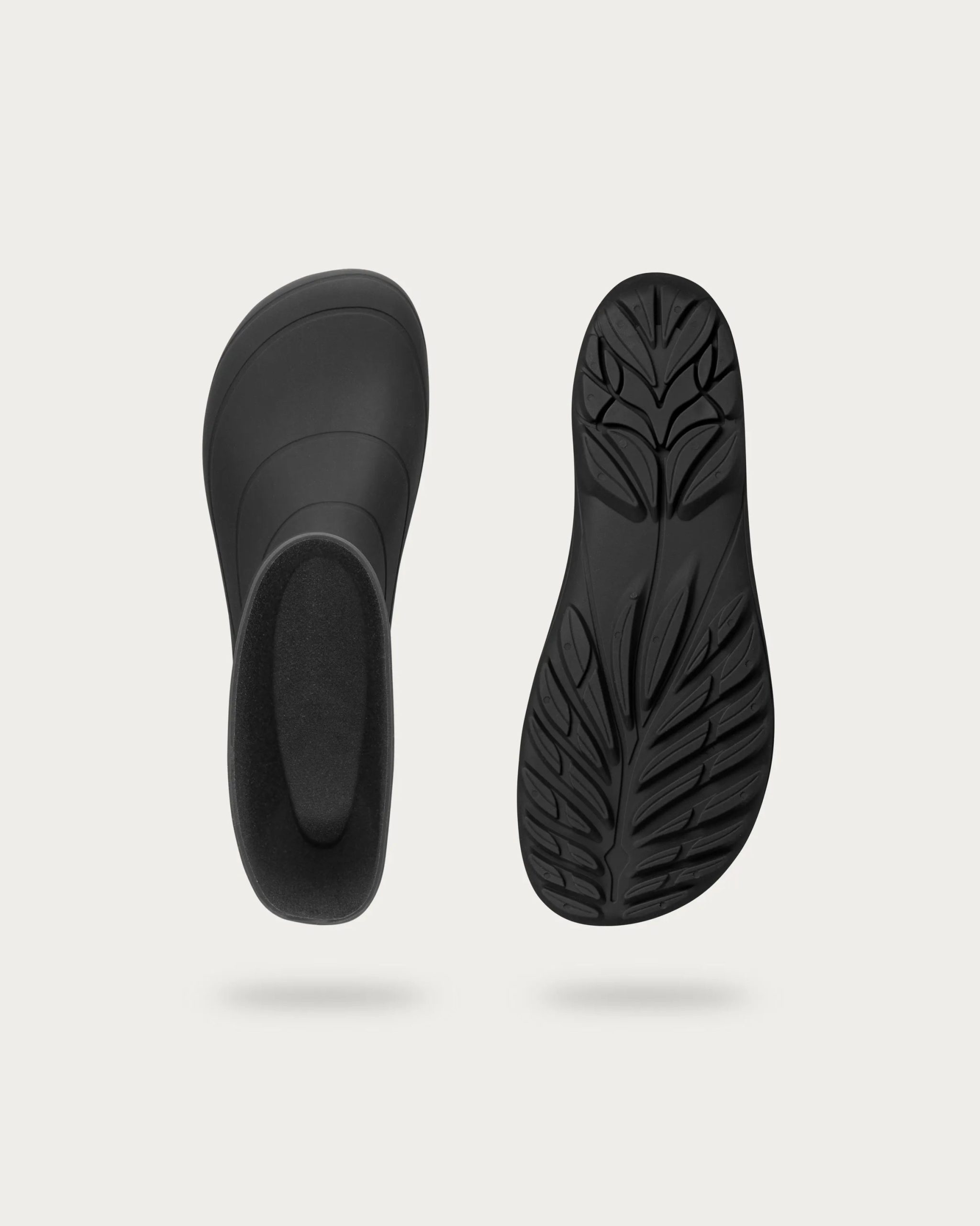 Ranidae – Black