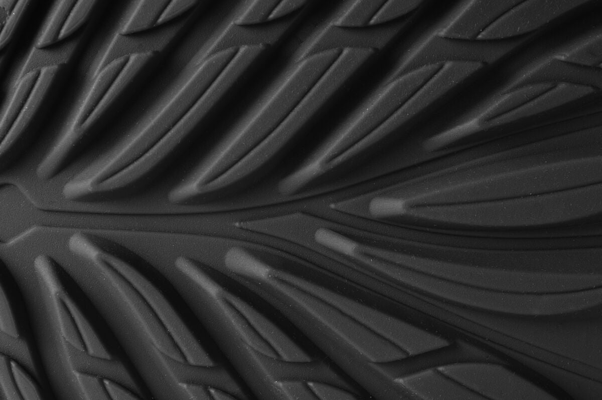 Ranidae – Black