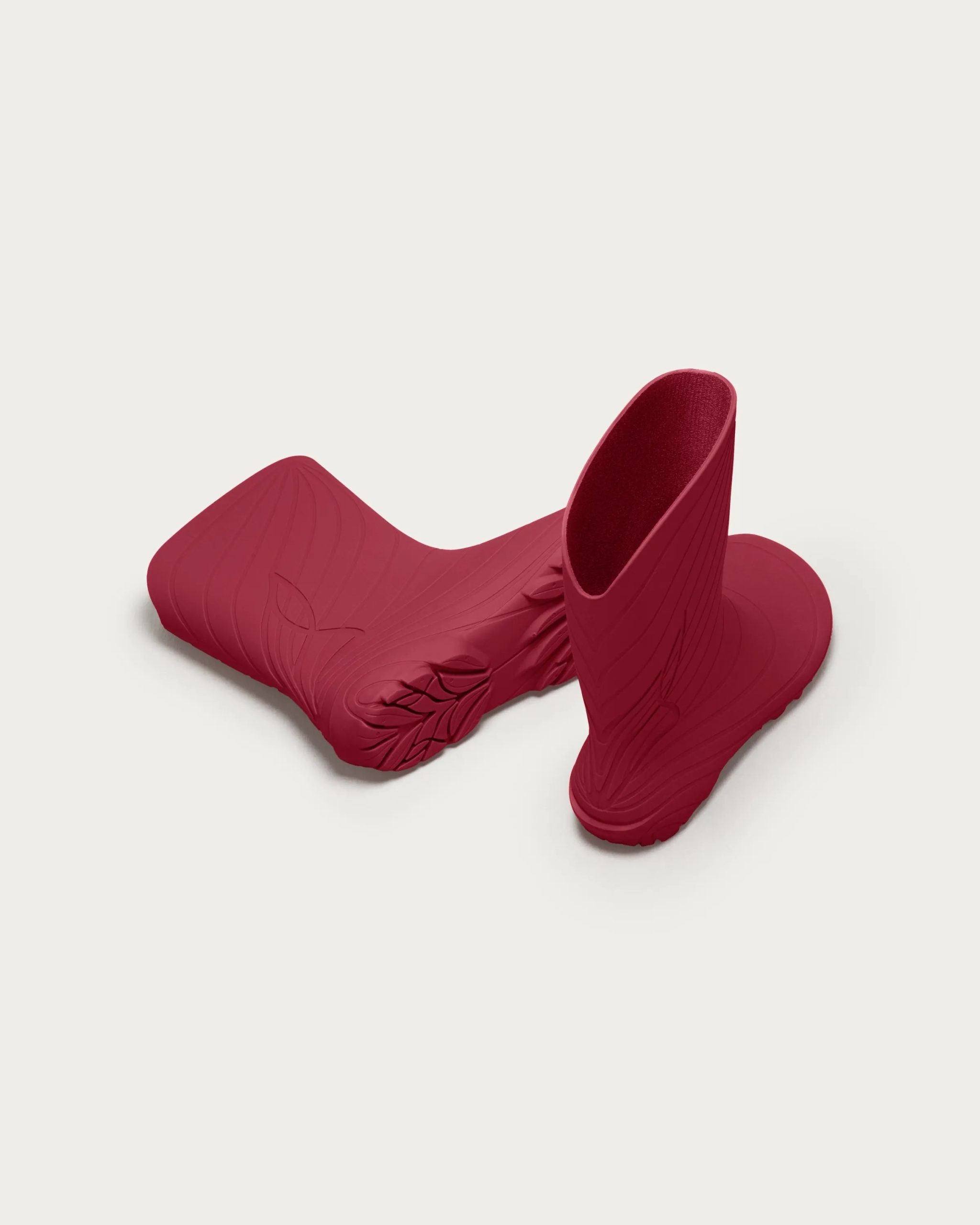 Ranidae – Cherry