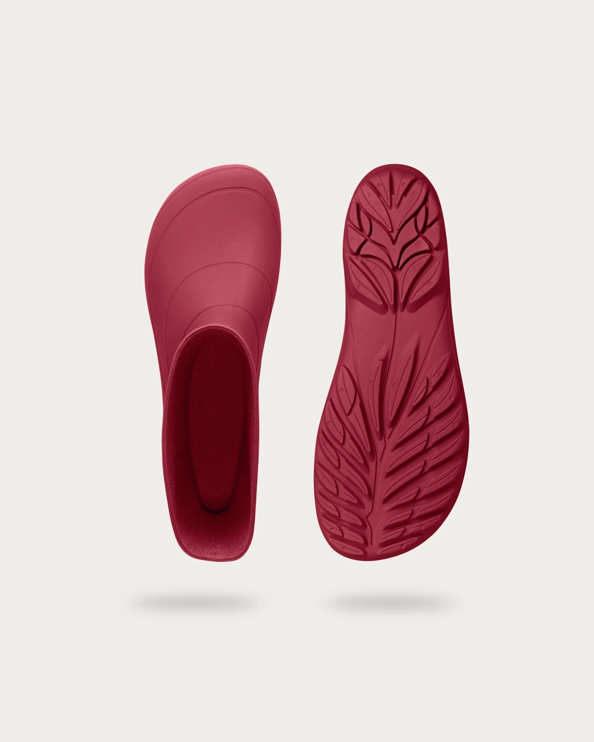 Ranidae – Cherry