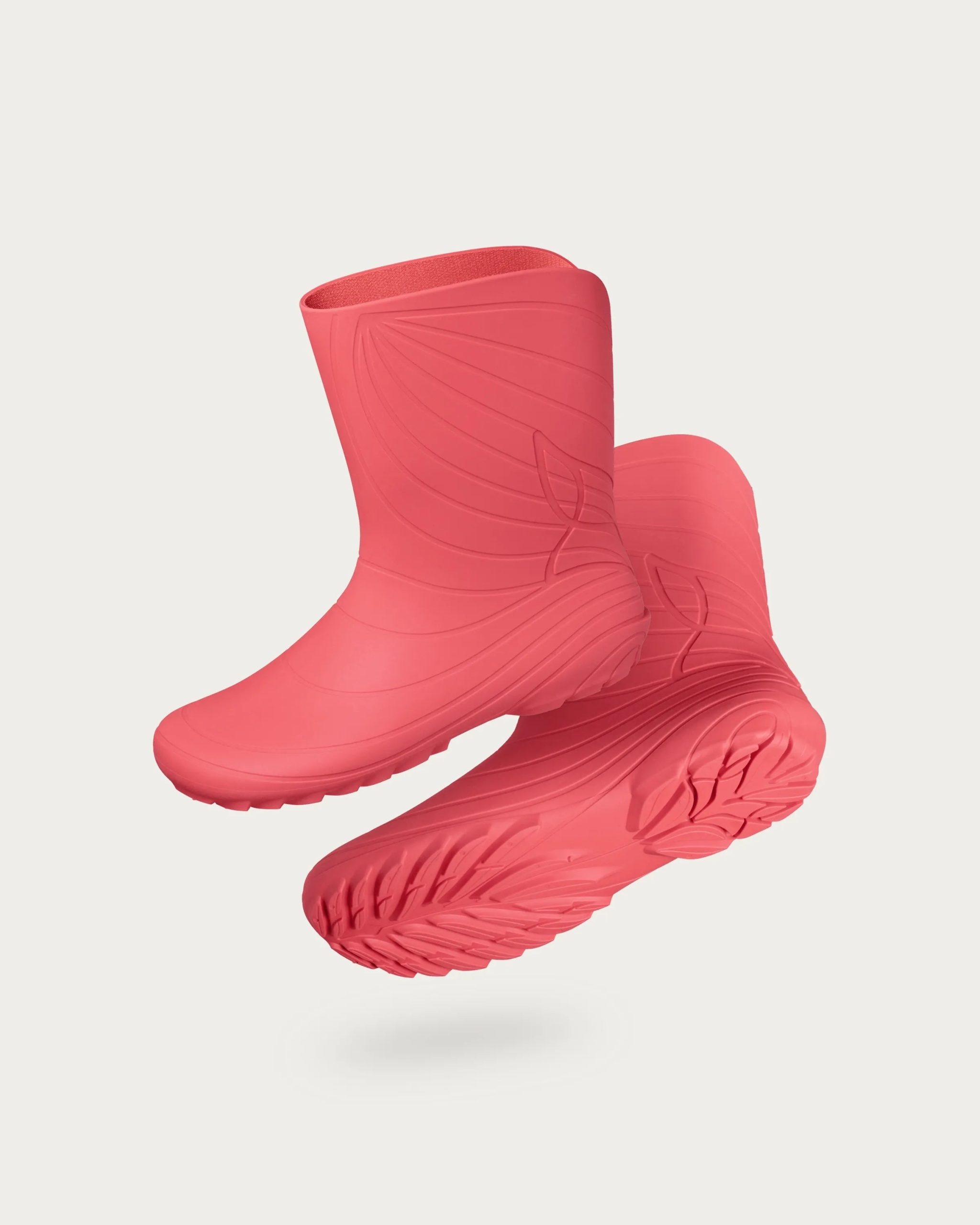 Ranidae – Coral