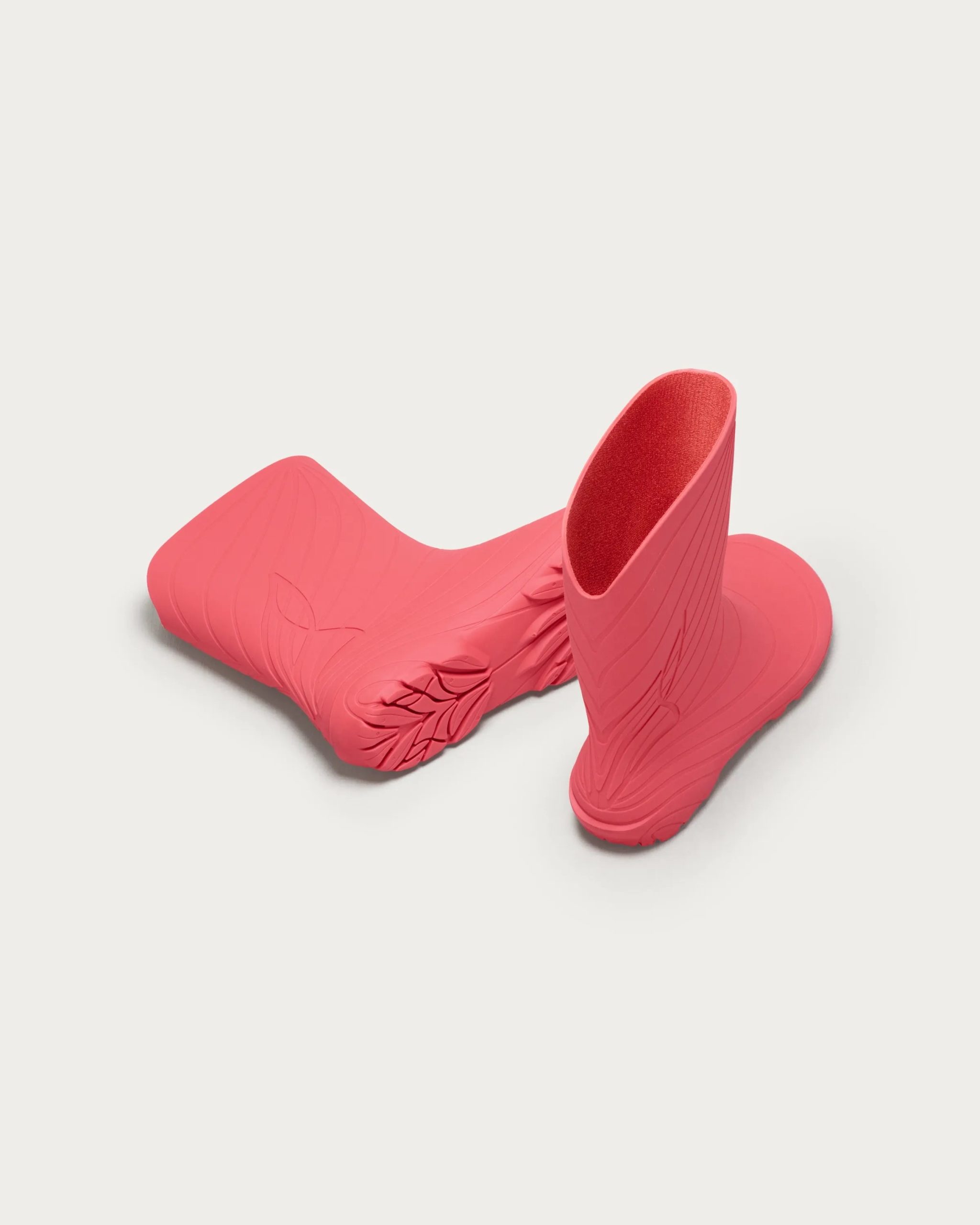 Ranidae – Coral