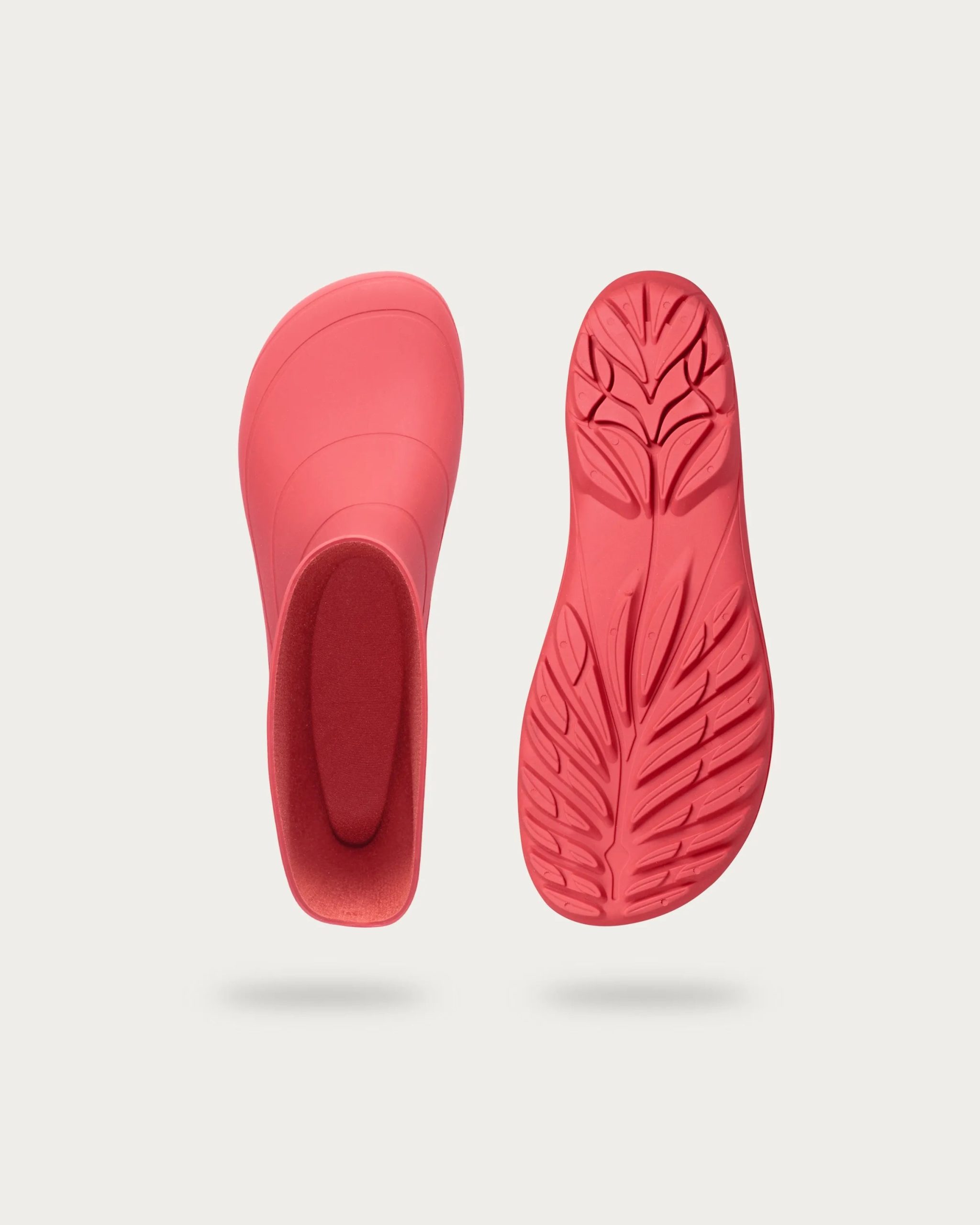 Ranidae – Coral
