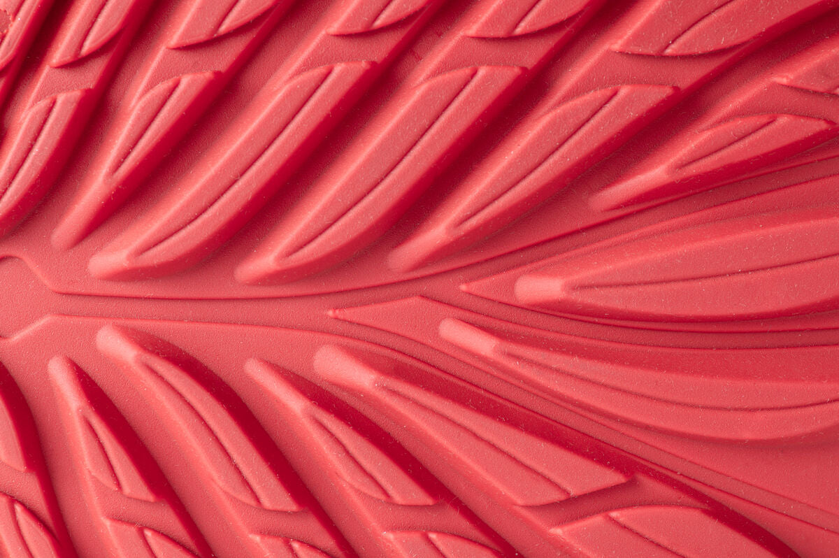 Ranidae – Coral