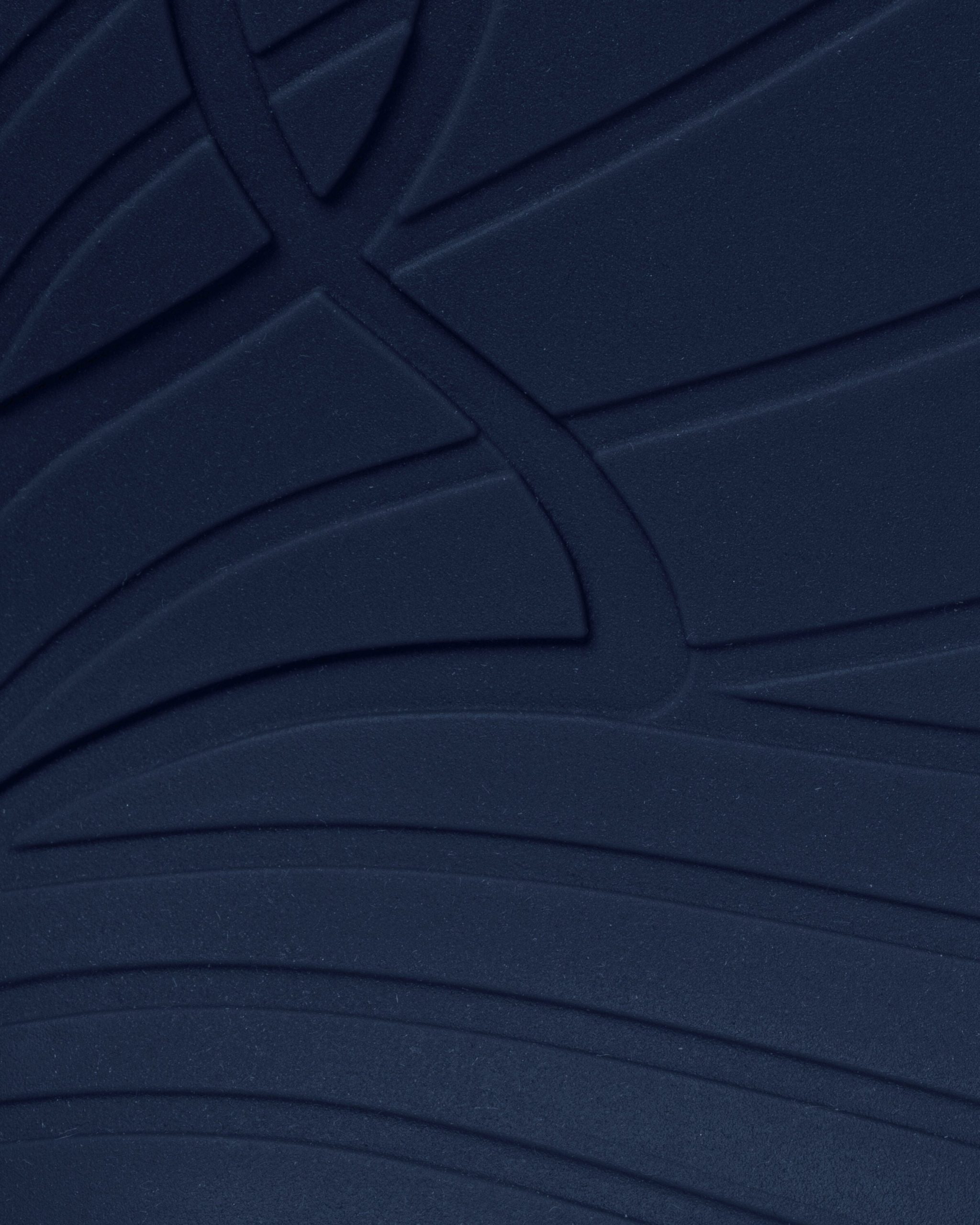 Ranidae – Indigo