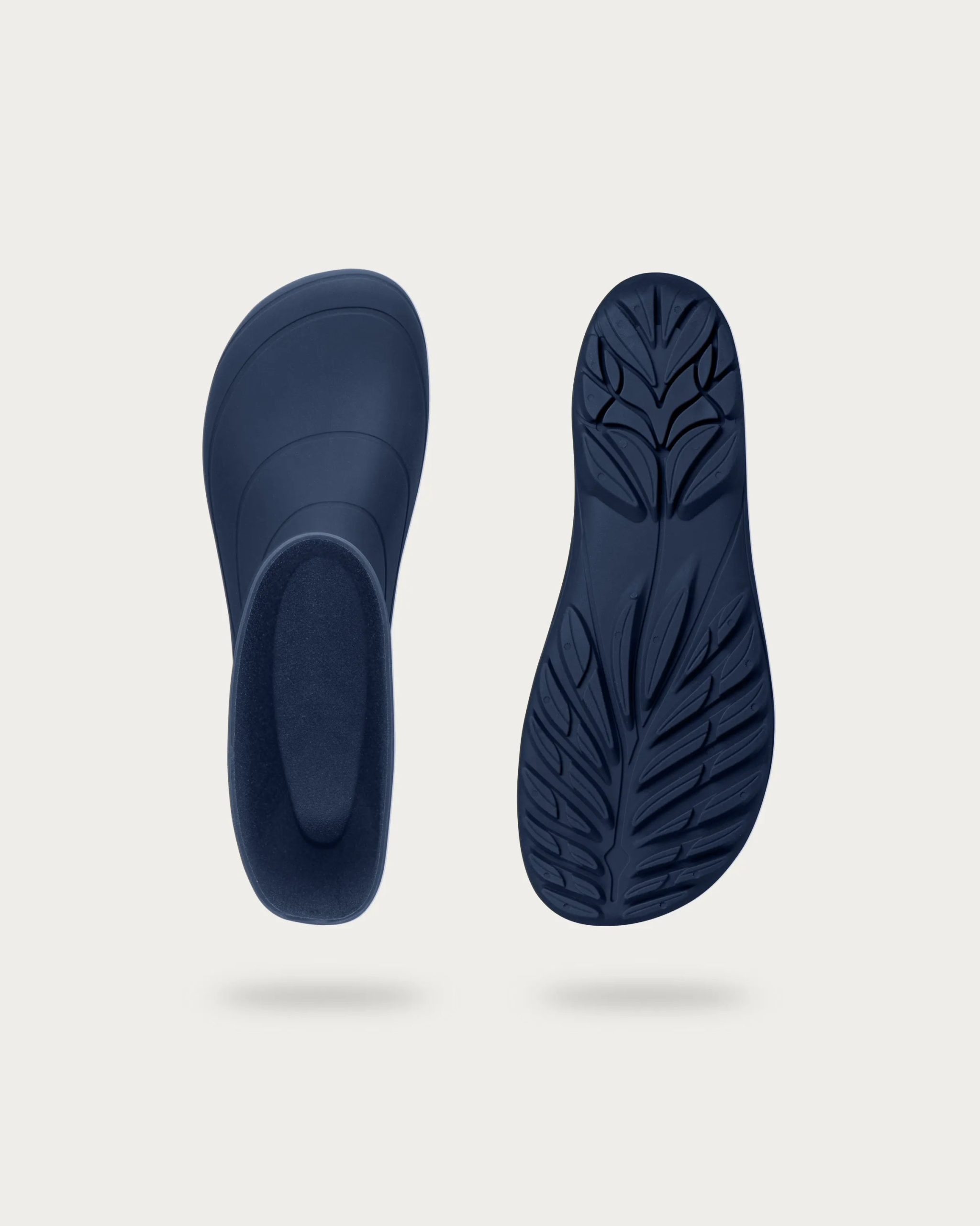 Ranidae – Indigo