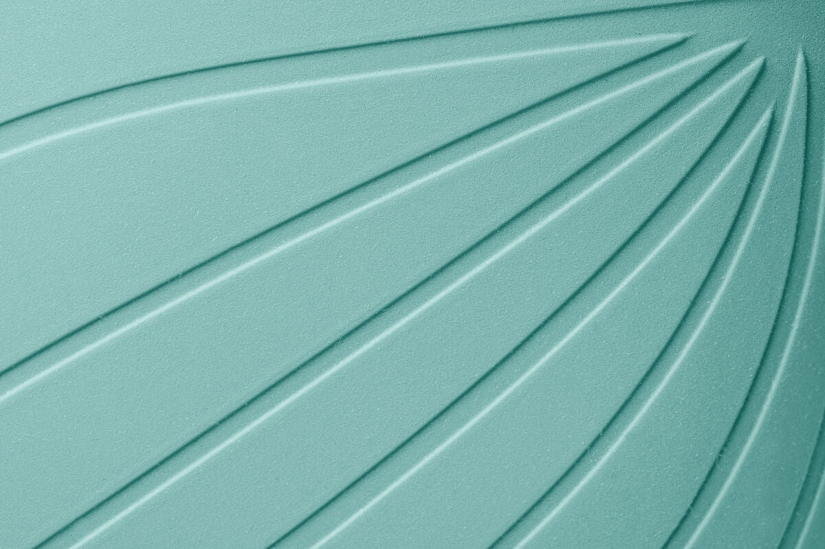 Ranidae – Mint