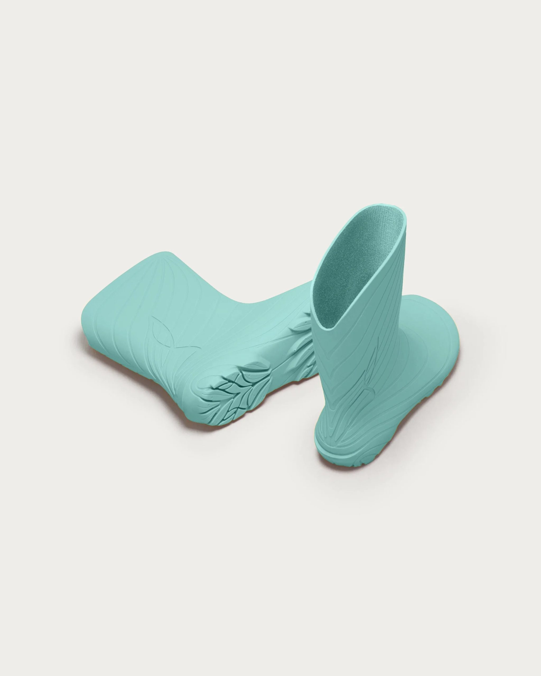 Ranidae – Mint