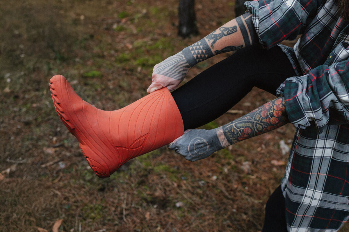 Ranidae – Orange