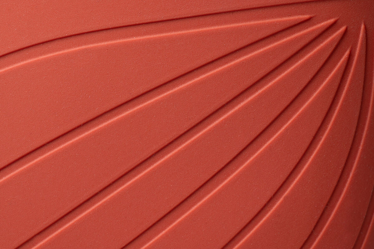 Ranidae – Orange