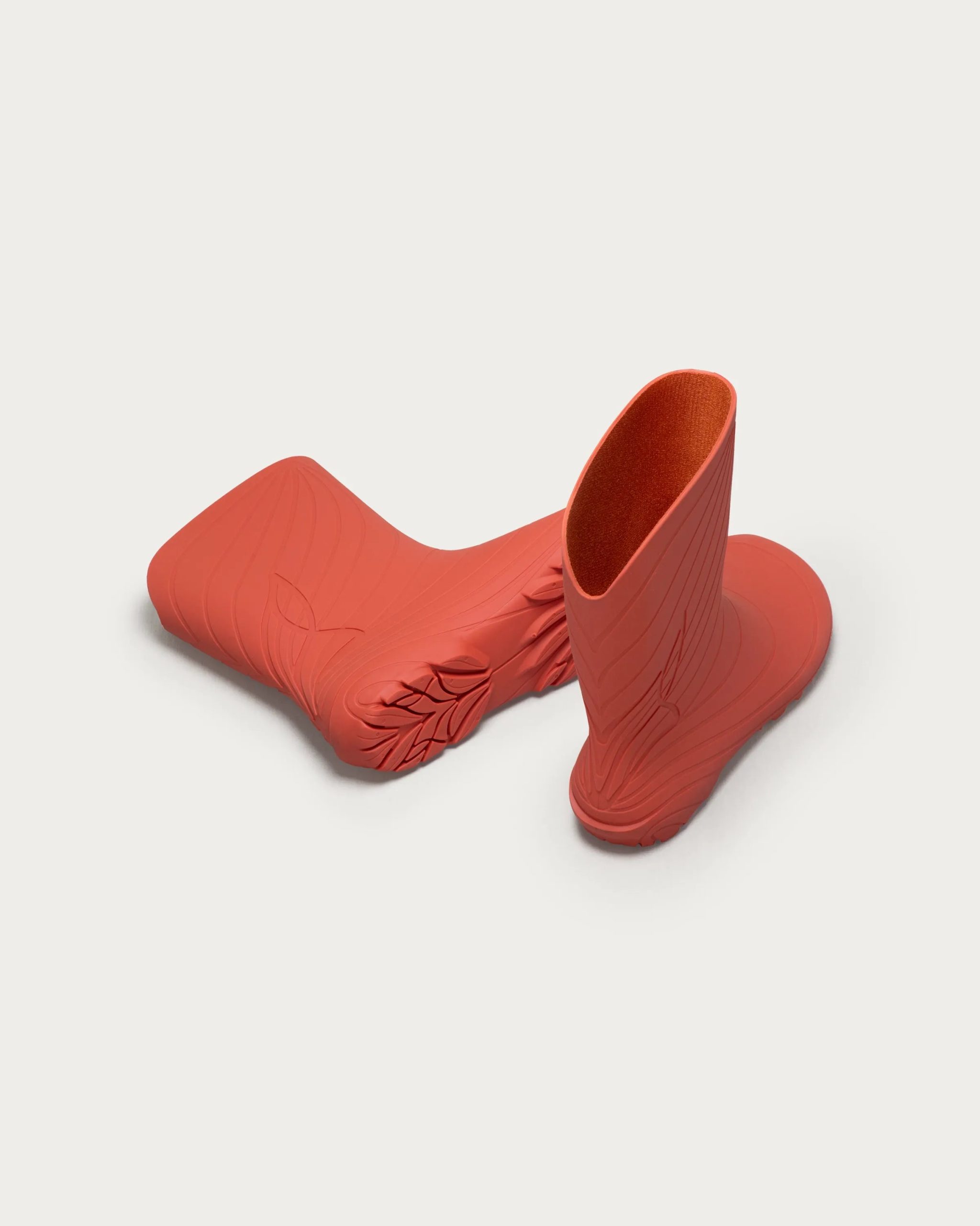 Ranidae – Orange