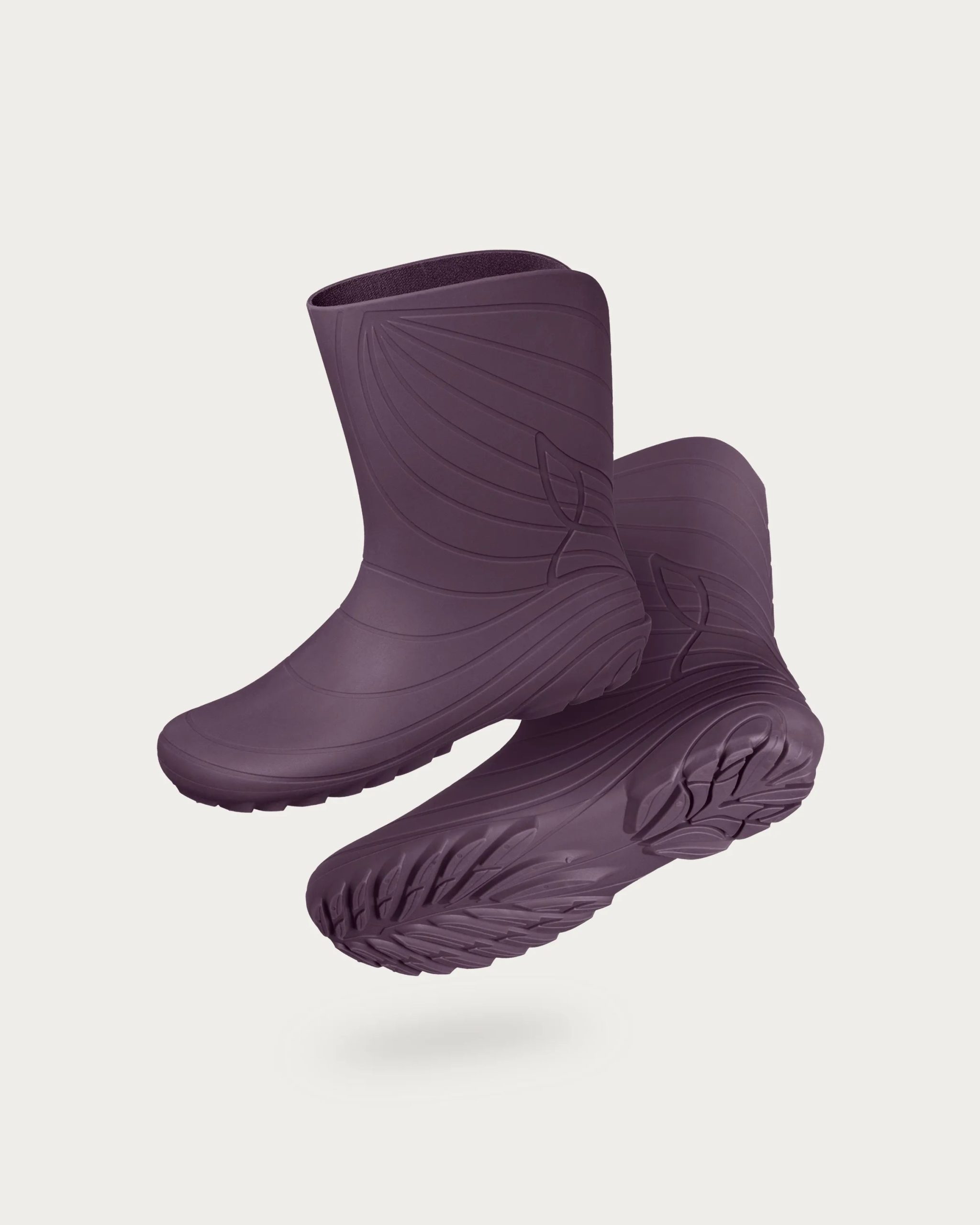 Ranidae – Plum