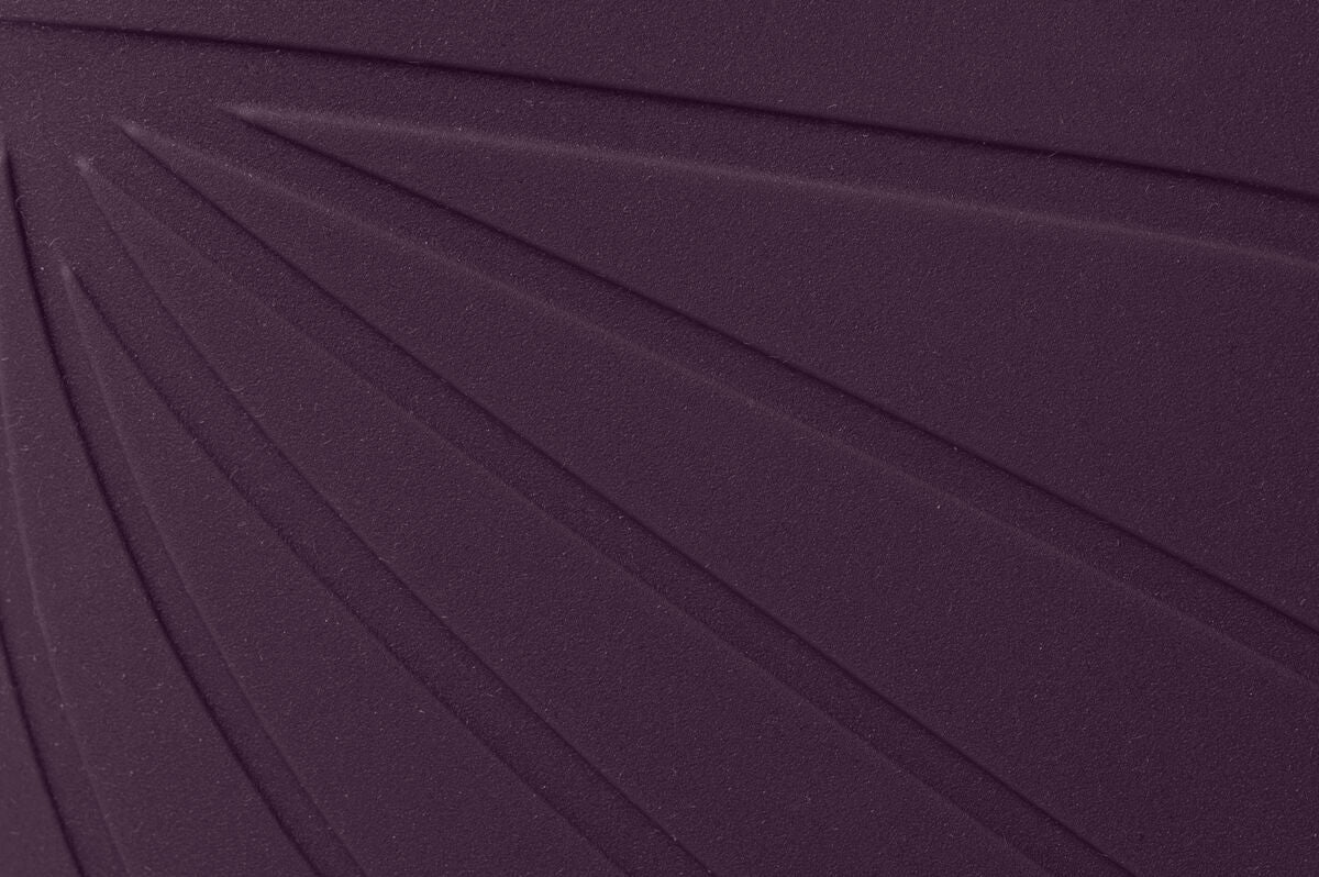 Ranidae – Plum