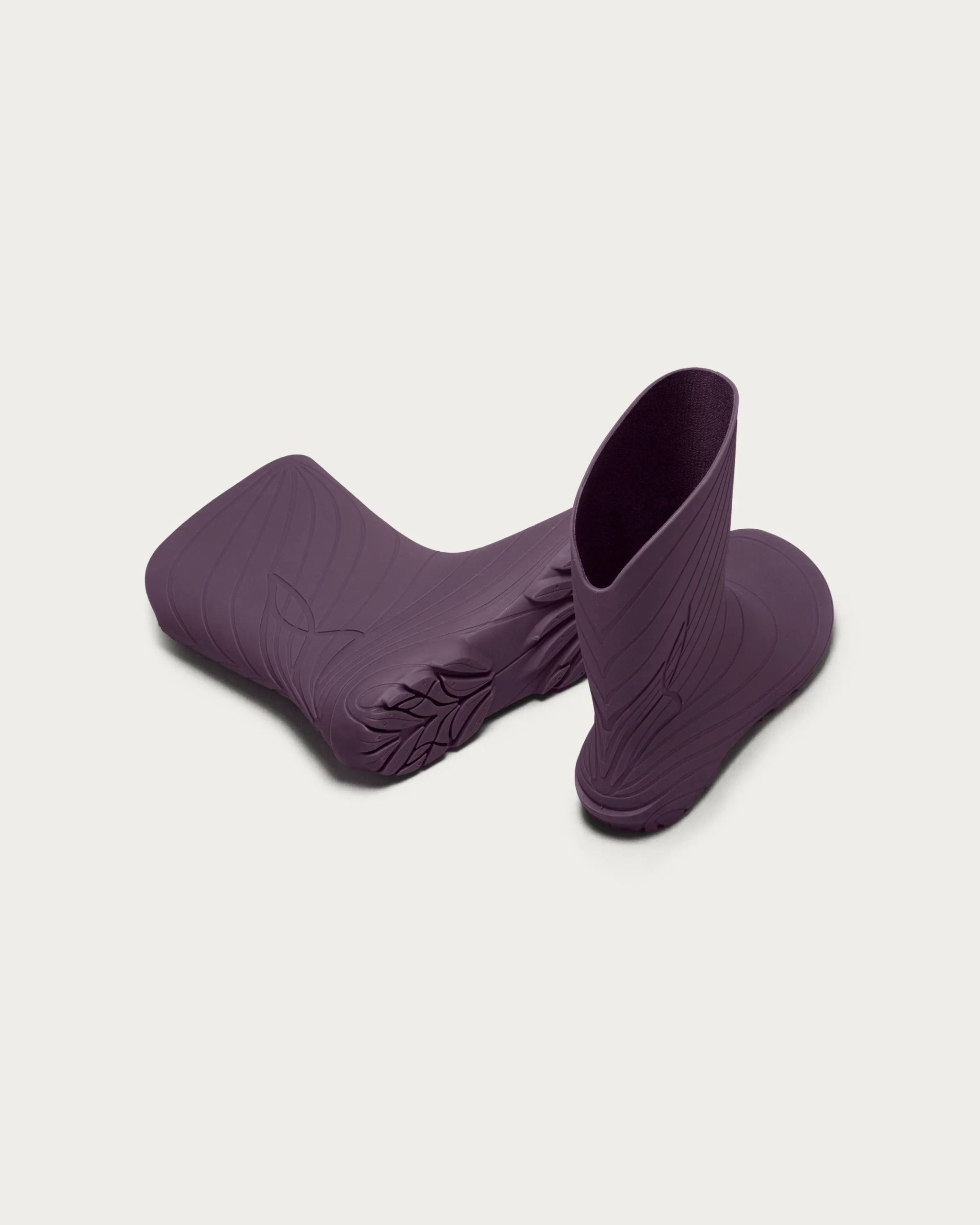 Ranidae – Plum