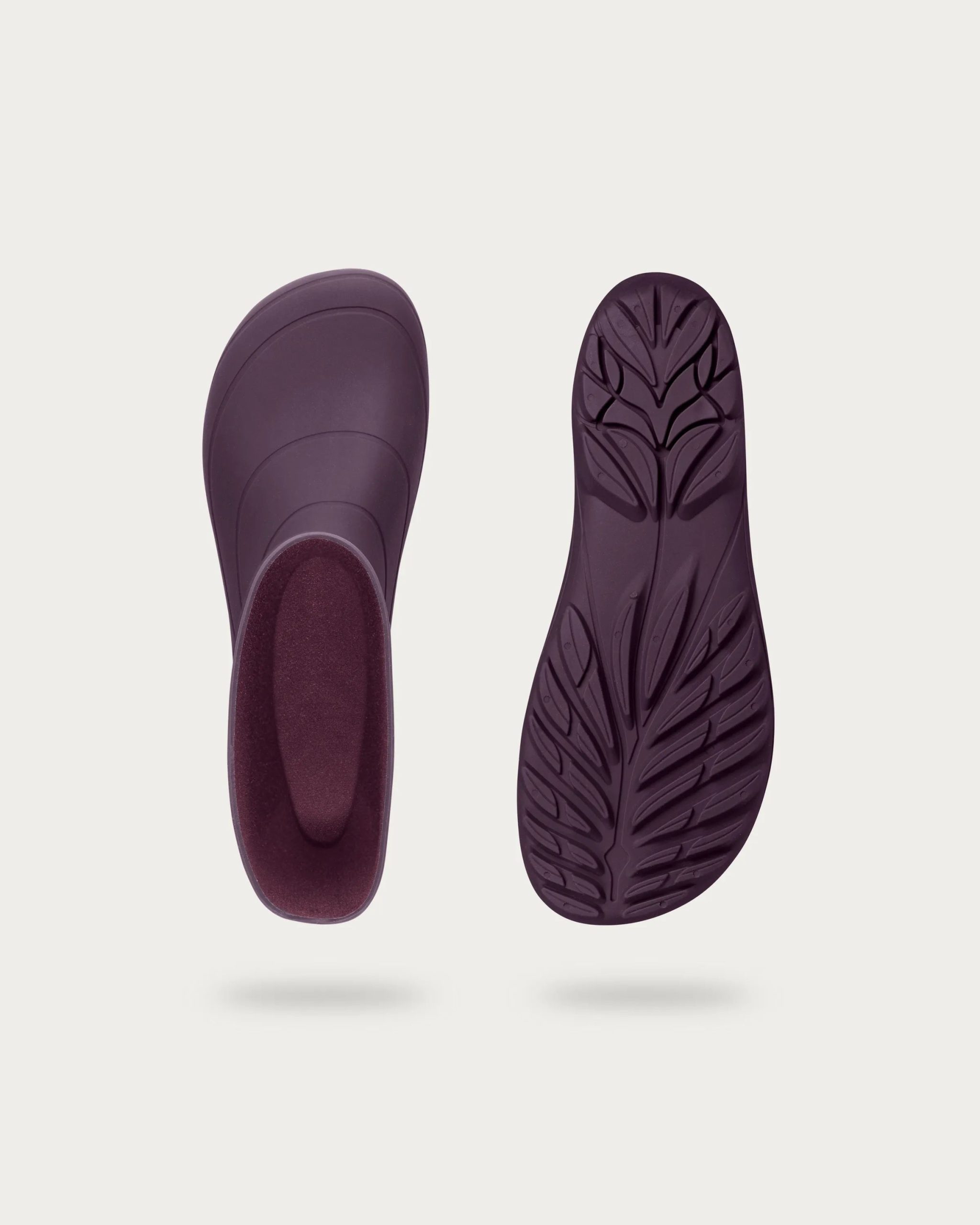 Ranidae – Plum