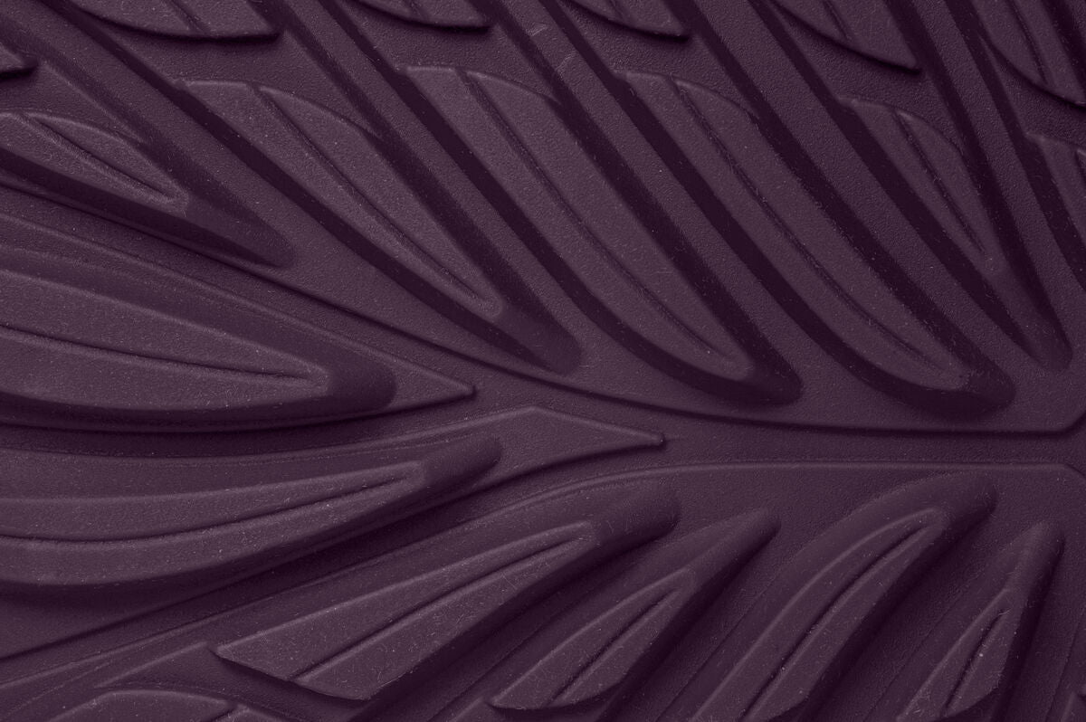 Ranidae – Plum