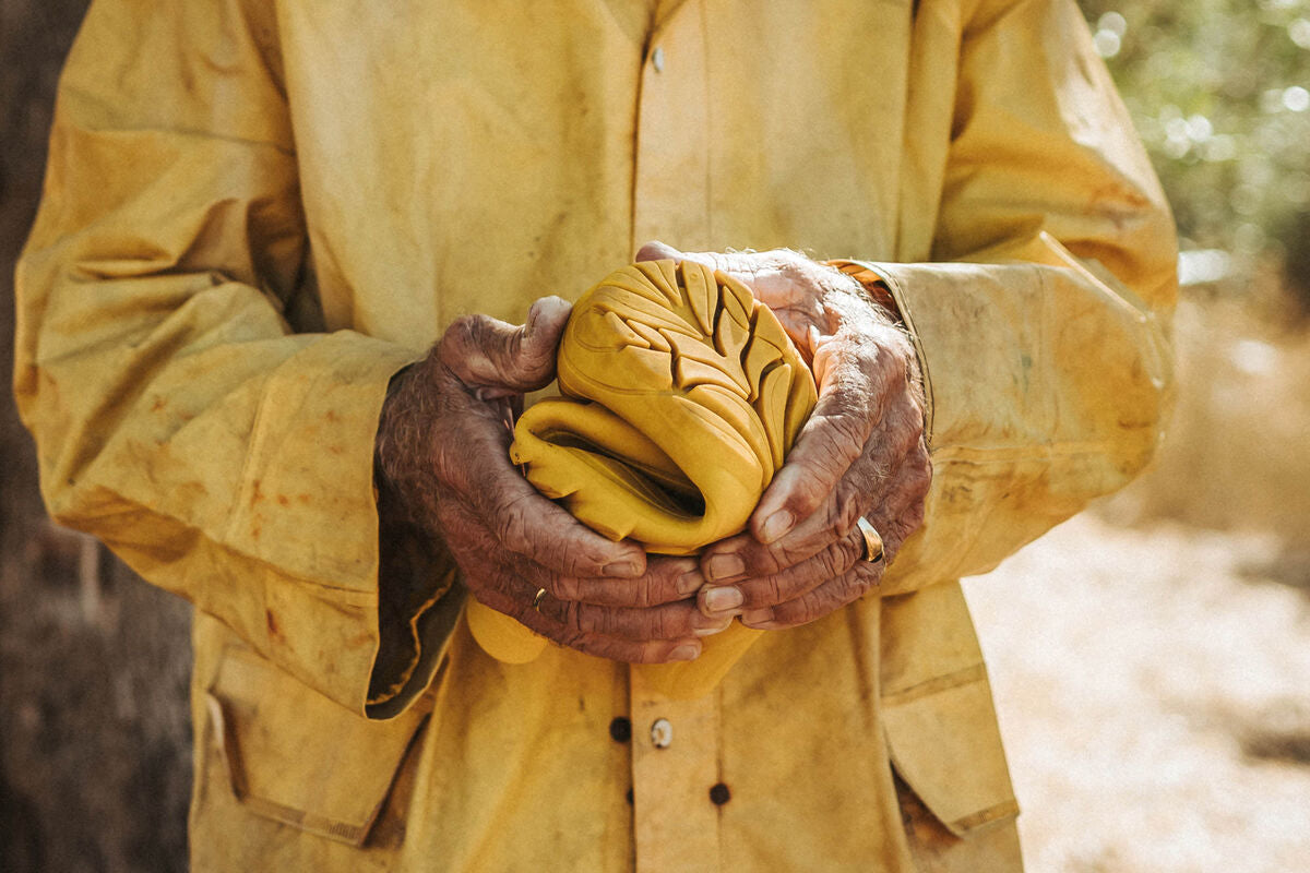 Ranidae – Yellow