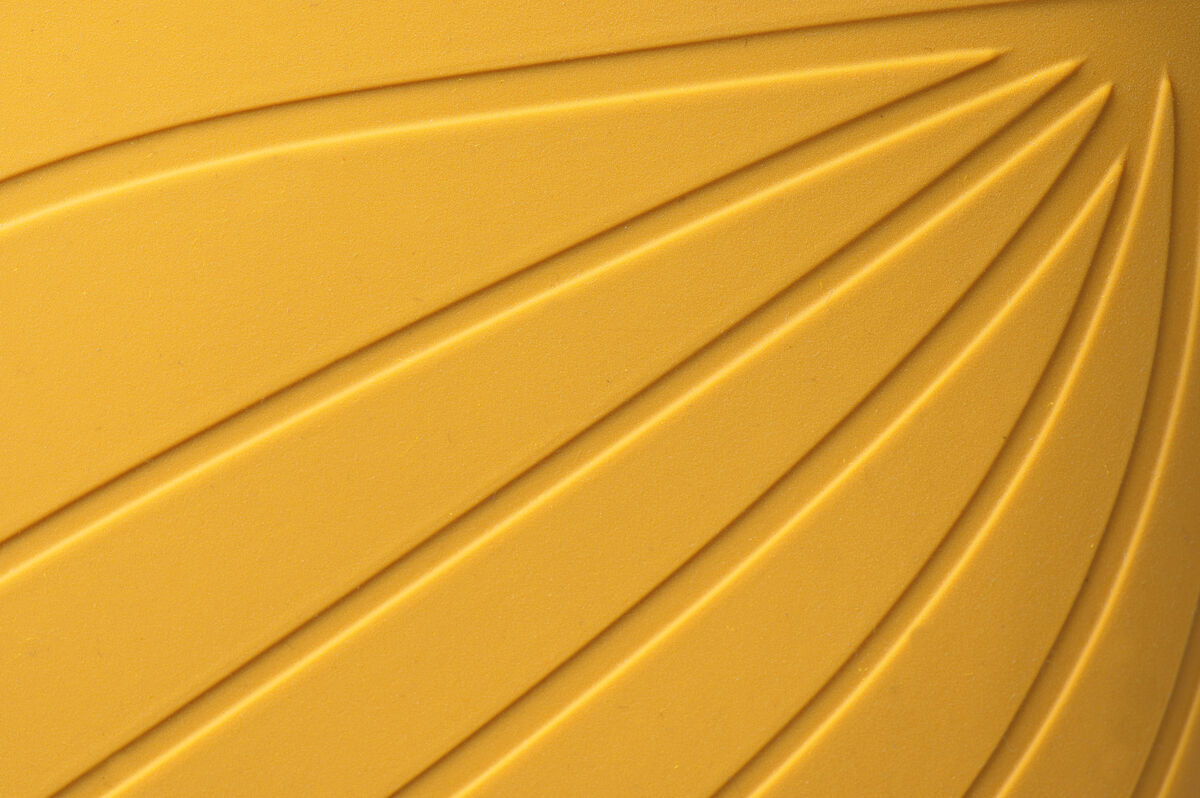 Ranidae – Yellow