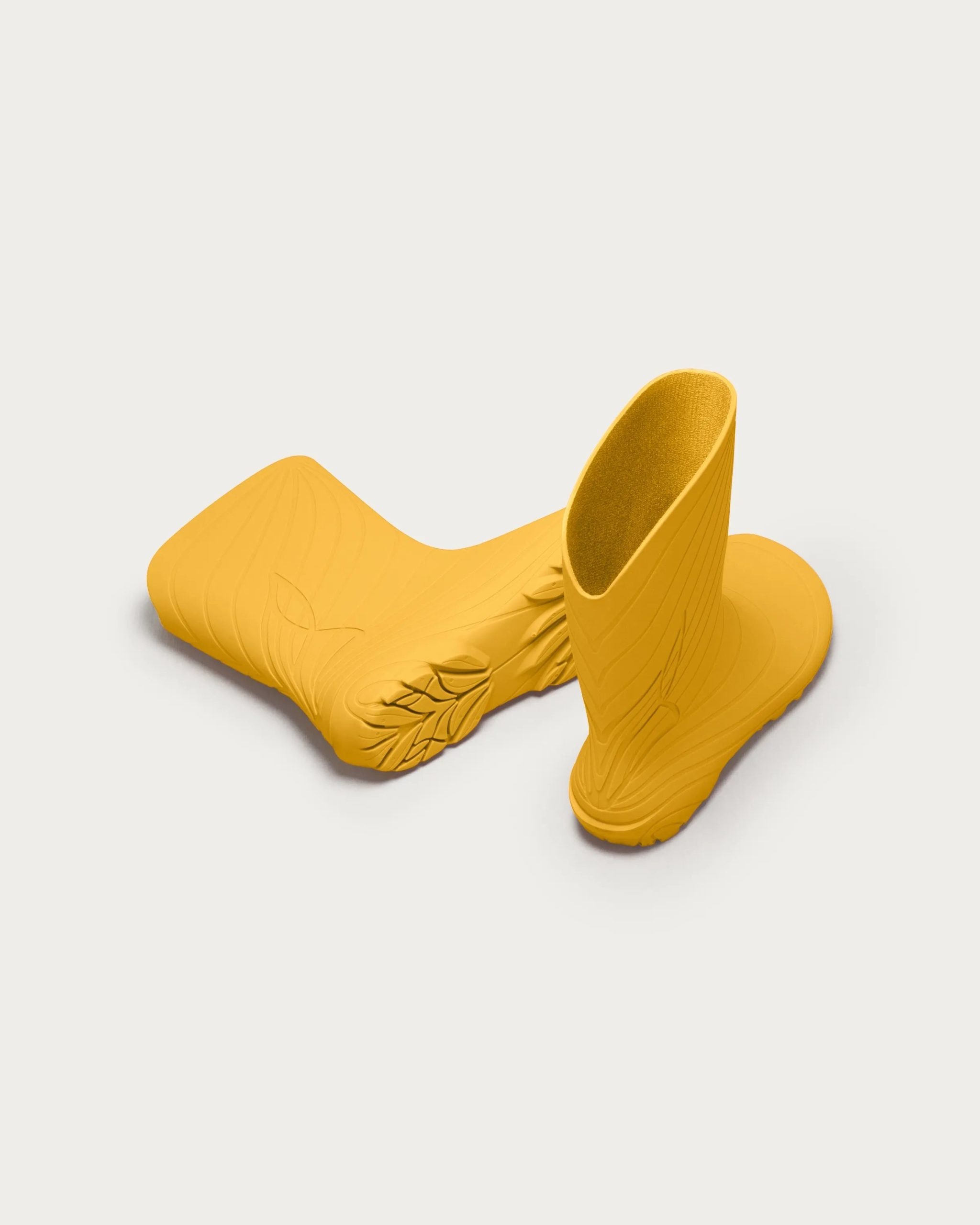 Ranidae – Yellow