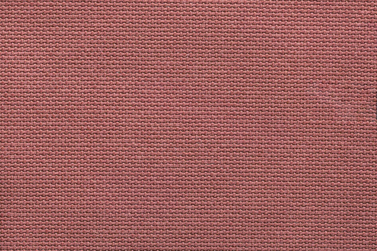 Tanuki – Bara