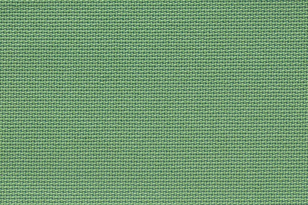 Tanuki – Kibo