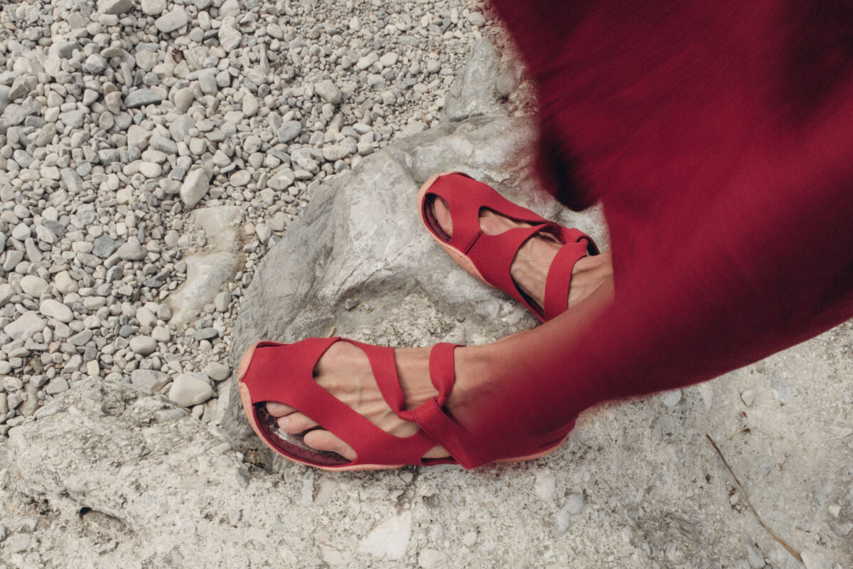 Feder – Salsa